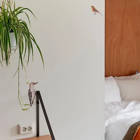 Hotel Q-factory 3*